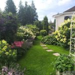 5 Common Backyard Mistakes Killing Your Garden (And How to Fix Them)