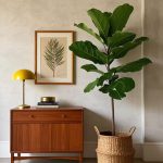 Fiddle Leaf Fig Dropping Leaves